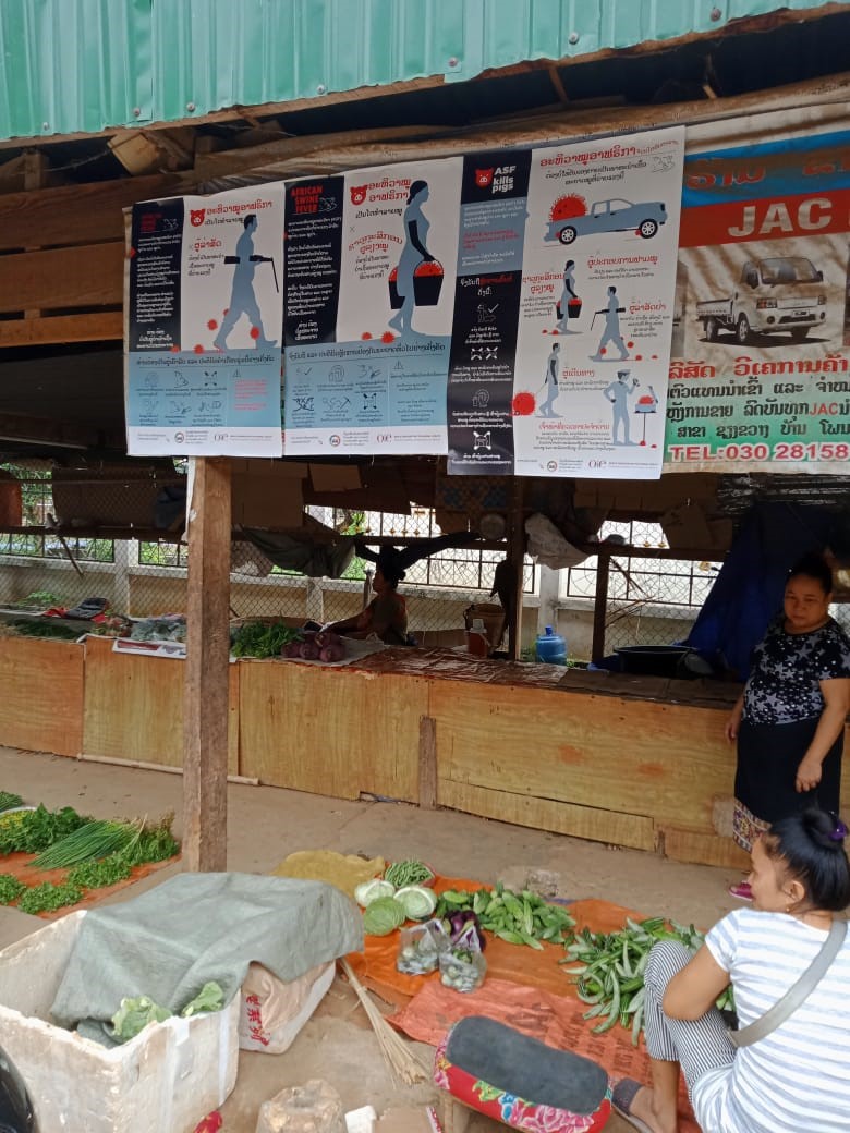 peste porcine africaine : des posters de l'OIE sont affichés au Laos